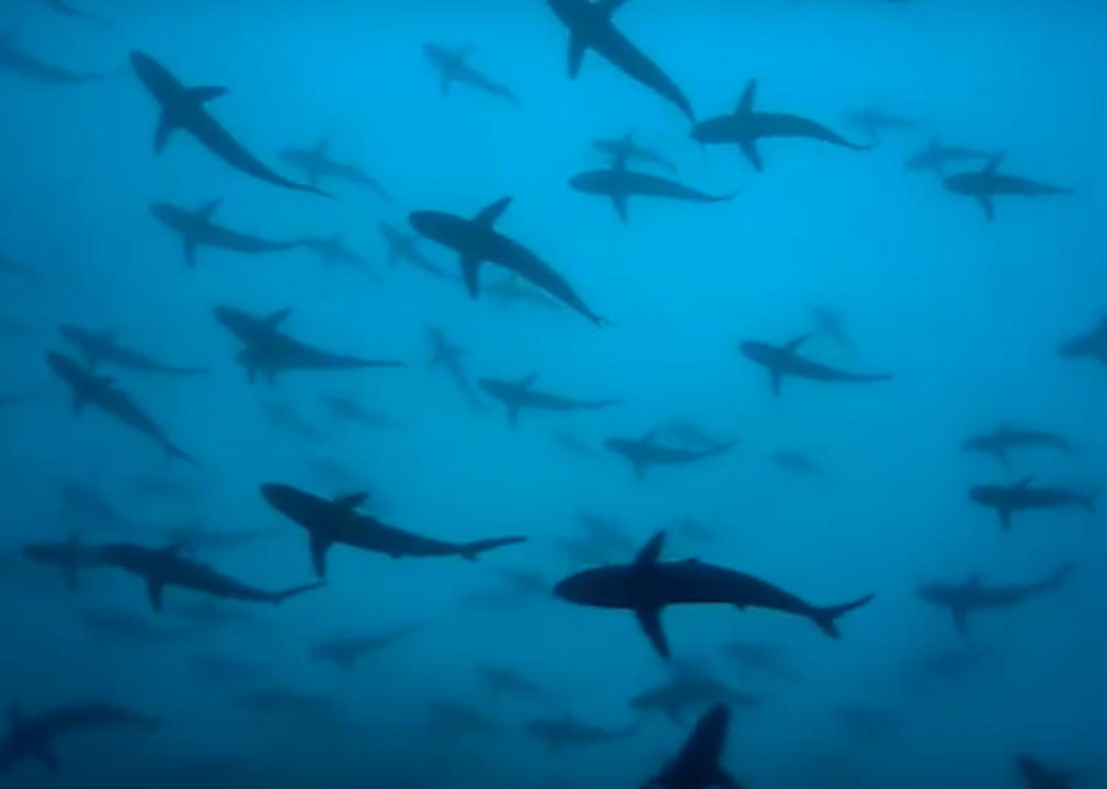 #9. The Blue Planet (2001)